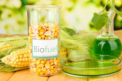 Georgia biofuel availability